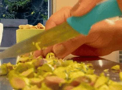 Recogedor de Alimentos en Acero Inoxidable